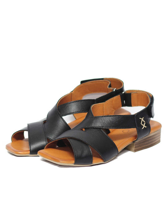 Mago Shoes