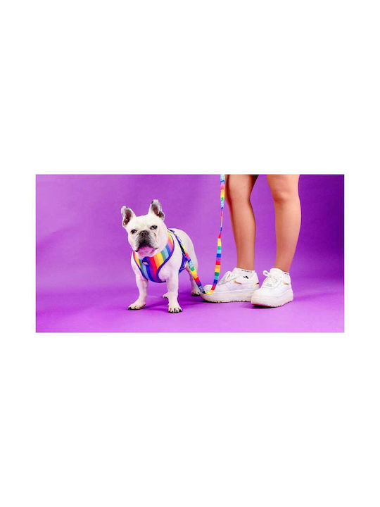 Dashi Нагръдник за куче Betty Лилав X-Small 30-36см DNM00280