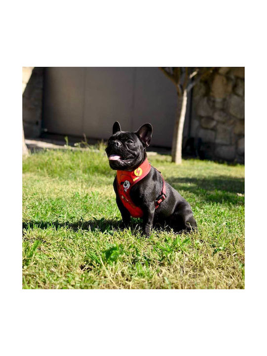 Dashi Dog Harness Yellow Medium 48-62cm DNM00123