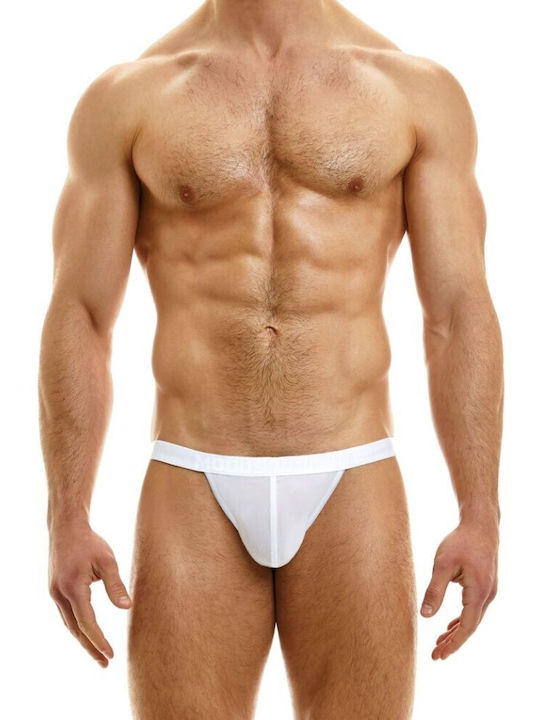Modus Vivendi Modus Vivendi