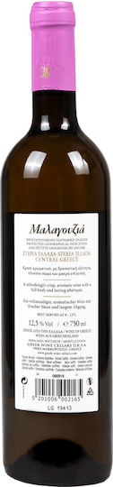 Ellinika Kellaria Oinon Vin Malagouzia Alb Șampon Uscat 750ml