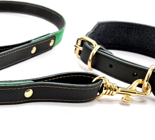 Younique Lab Dog Leash/Lead Leather SMALL in Black color 3cm