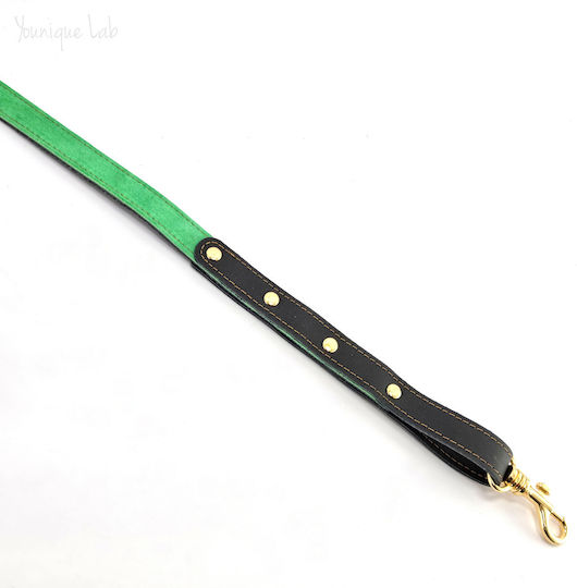 Younique Lab Dog Leash/Lead Leather SMALL in Black color 3cm