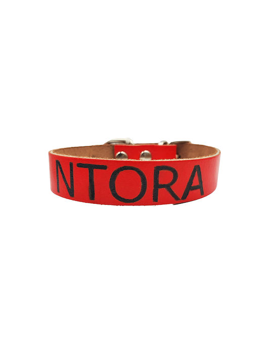 ByLeather Κολάρο Δερμάτινο σε Κόκκινο χρώμα Small 35cm ByLeather Κολάρο Δερμάτινο σε Κόκκινο χρώμα Small 35cm