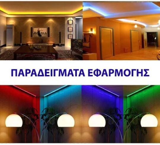 Adeleq LED Strip 24V Cold White Light 5m Type SMD2835