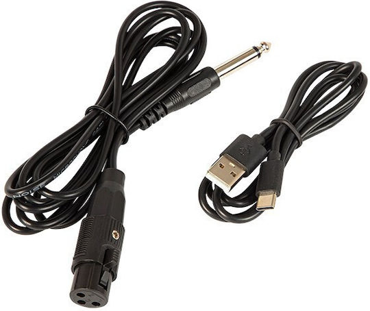 Blow Sistem De Karaoke Cu Microfon Cu Fir Și Efecte De Iluminare CityLIGHT 30-391 Negru