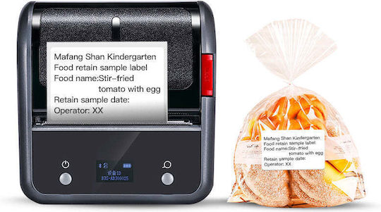 Niimbot Electronic Portable Label Maker Gray