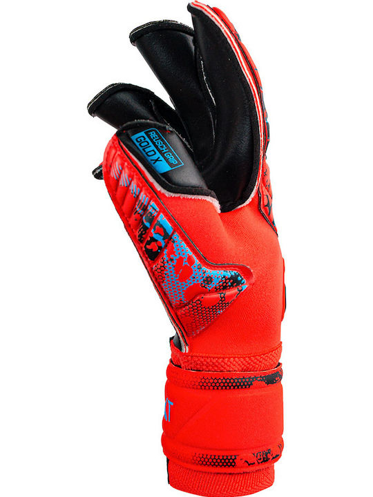 Reusch Attrakt Gold X Evolution Cut Голмански ръкавици за Възрастни Червени