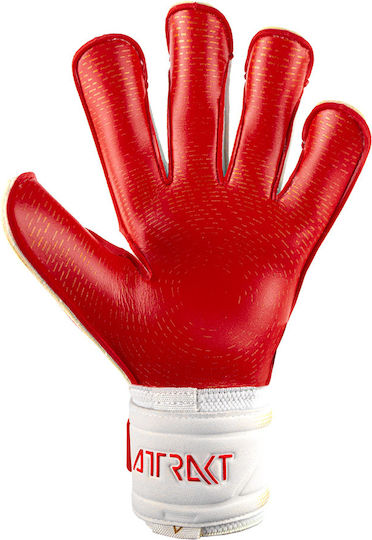 Reusch Attrakt Gold X Glueprint Torwarthandschuhe Erwachsene Goldene