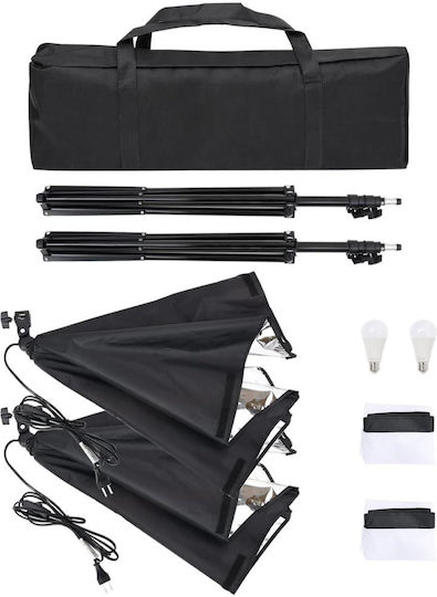 vidaXL Foto- und Videobeleuchtungsset mit 2 Leuchten mit Softbox und Stativ