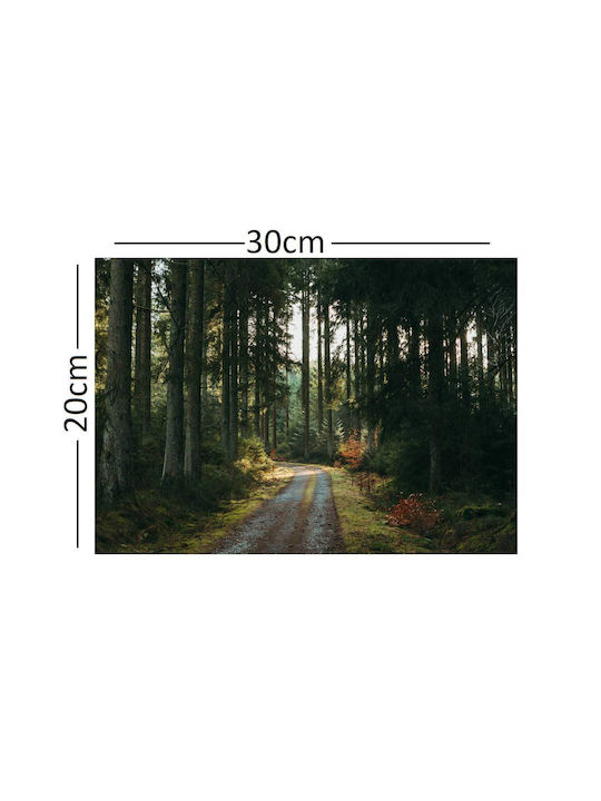 A Dirt Road in the Middle of a Forest Painting on Canvas 30x20cm