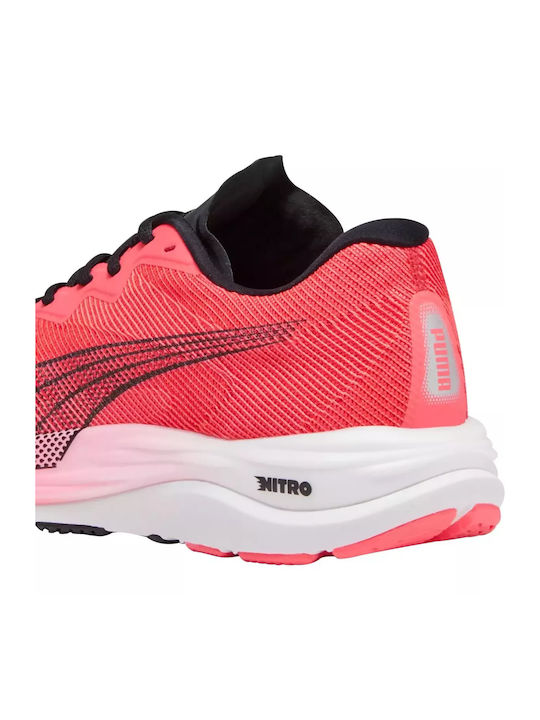 Velocity Nitro 2 Sport Shoes Running Black