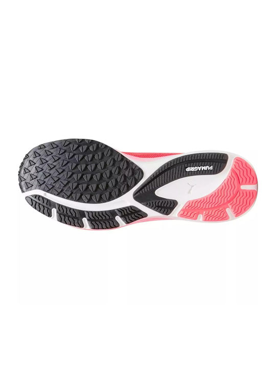 Velocity Nitro 2 Sport Shoes Running Black