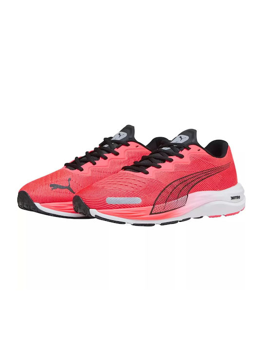 Velocity Nitro 2 Sport Shoes Running Black