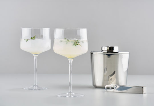 Zone Denmark Set Whiskey / Cocktail Kelch Kristall Transparent 470ml 2 Stück