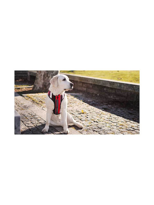 Dashi Dog Harness Vest Slide X-Small 30-36cm DNM00091