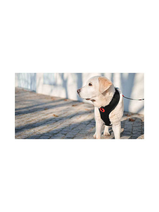 Dashi Dog Harness Vest Slide X-Small 30-36cm DNM00091