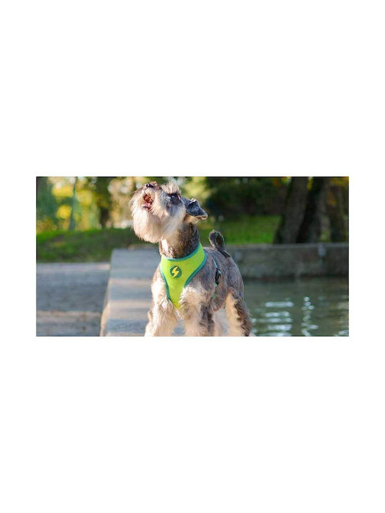 Dashi Hundegeschirr Weste Avocado Mittel 57-77cm DNM00209
