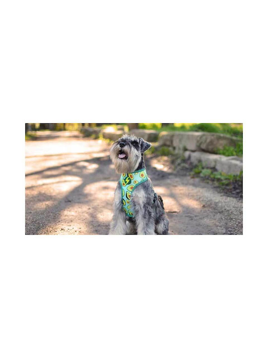 Dashi Hundegeschirr Weste Avocado Mittel 57-77cm DNM00209