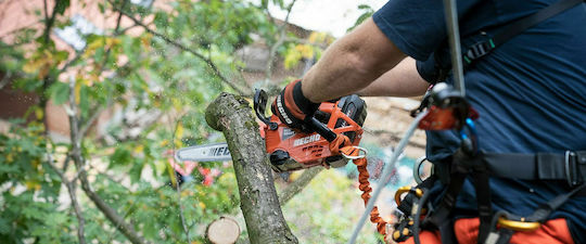 Echo Безчетков 50.4V 3.1кг с шина Carving шина 25см