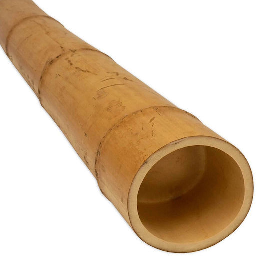 Showood Reed pentru Împrejmuire Grădină din Bambus 300x14x14buc 1buc