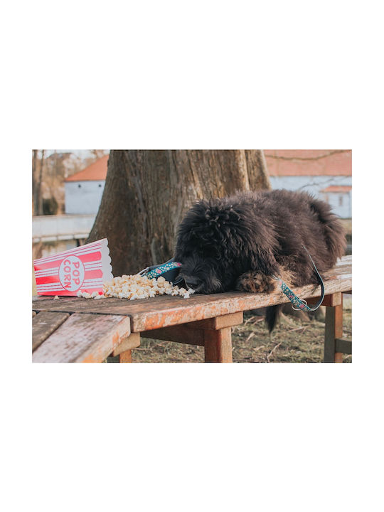 Max & Molly Поп Корн Ошийник