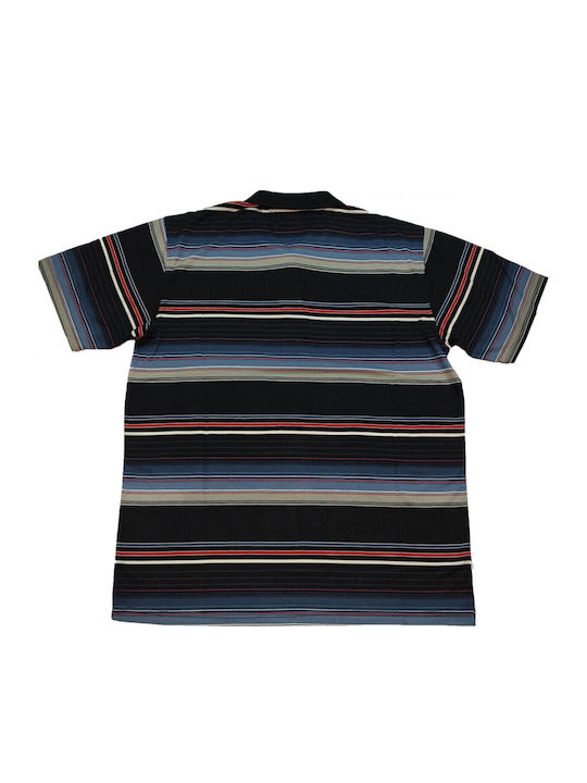 Color Colucci