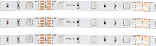 Eglo Smart Ταινία LED 220V RGBW Φως 2m με Τροφοδοτικό