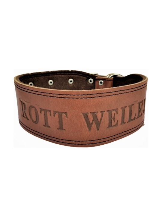 ByLeather Κολάρο Δερμάτινο σε Καφέ χρώμα Small 70cm ByLeather Κολάρο Δερμάτινο σε Καφέ χρώμα Small 70cm