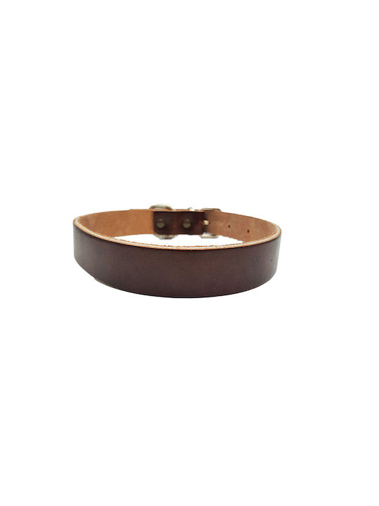 ByLeather Κολάρο Δερμάτινο σε Καφέ χρώμα Small 35cm ByLeather Κολάρο Δερμάτινο σε Καφέ χρώμα Small 35cm