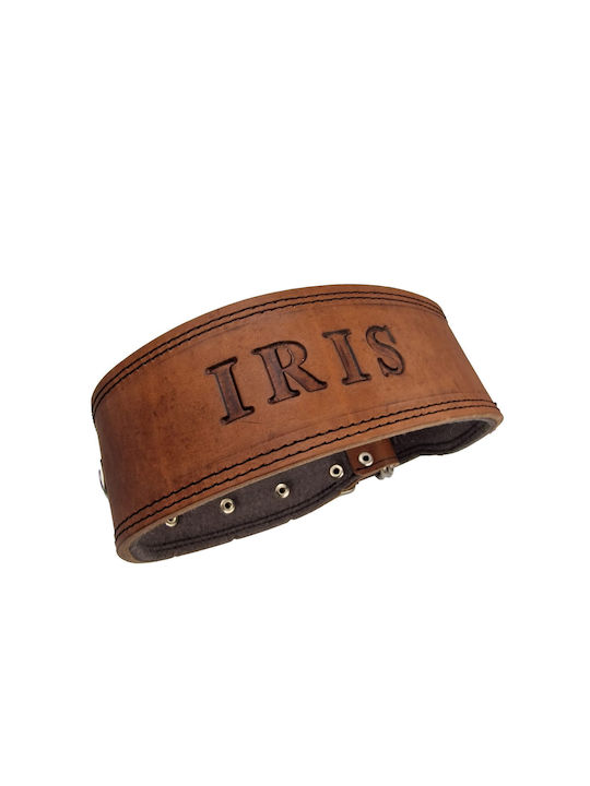 ByLeather Hundehalsband Leder in Braun Farbe Klein 70cm