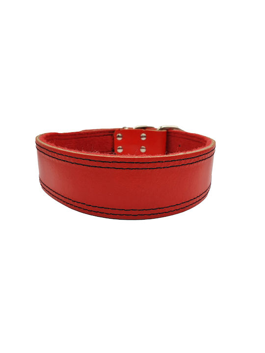 ByLeather Κολάρο Σκύλου Δερμάτινο σε Κόκκινο χρώμα Small 60cm