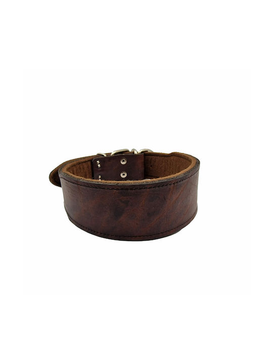 ByLeather Hundehalsband Leder in Braun Farbe Klein 60cm