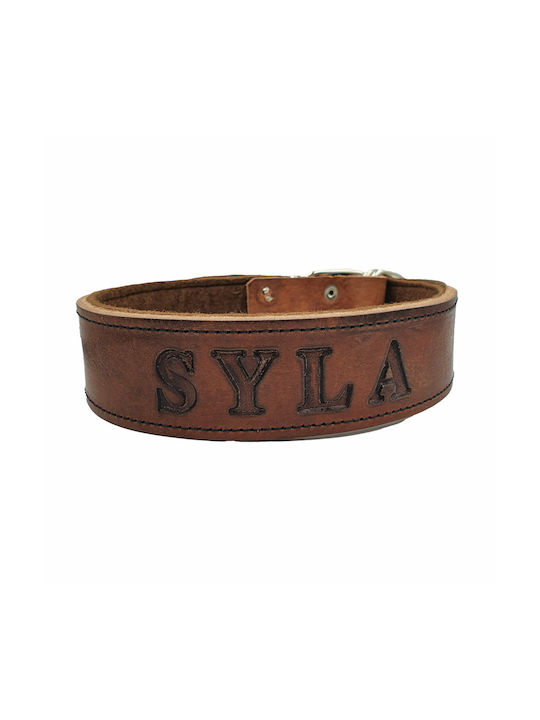 ByLeather Hundehalsband Leder in Braun Farbe Klein 70cm