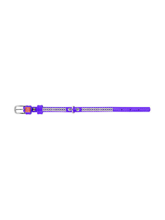 Collar Dog Collar Purple