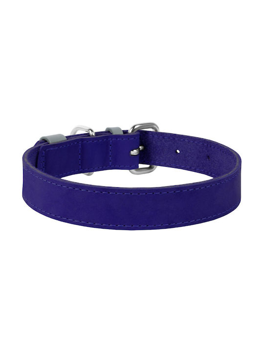 Collar Hundehalsband Leder in Lila Farbe