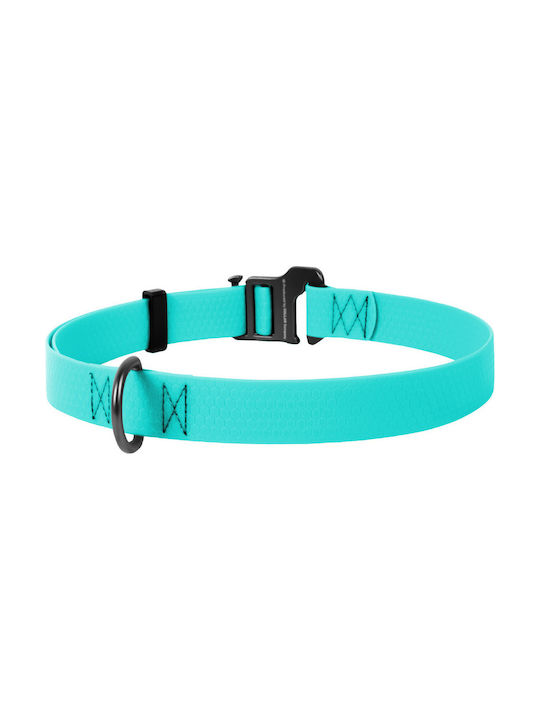 Collar Dog Collar 50cm Turquoise