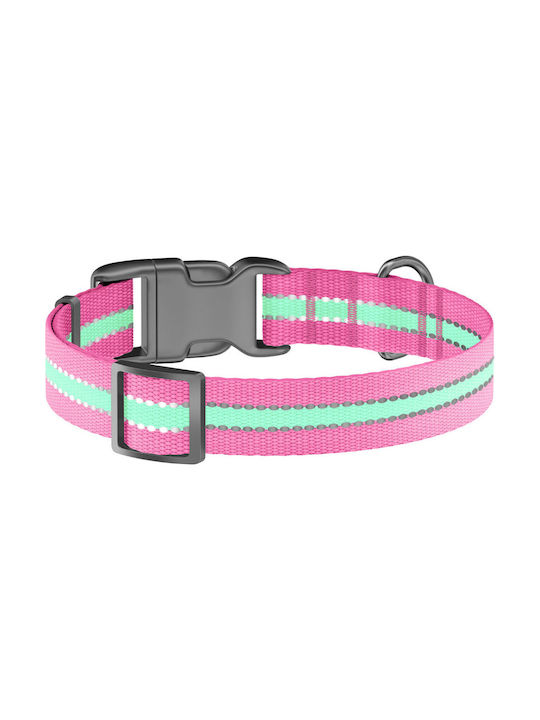 Collar Dog Collar Illuminated 35cm Pink