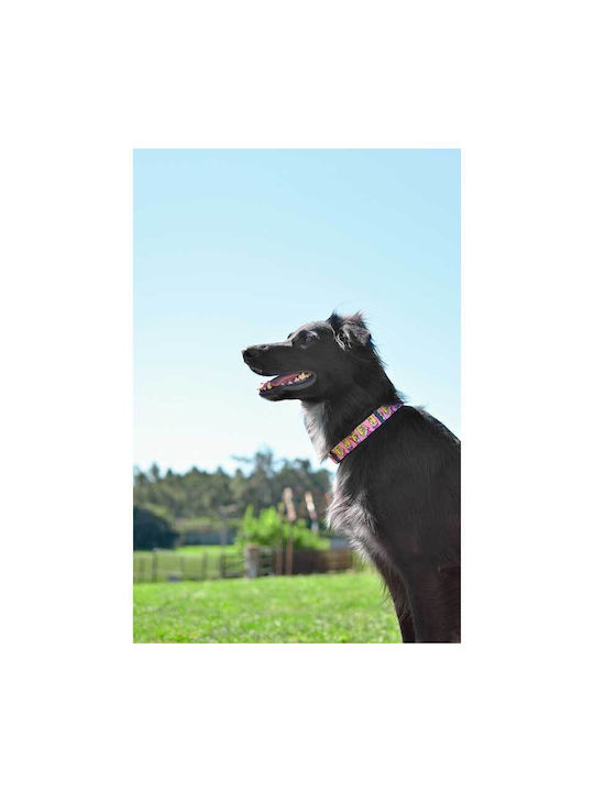 Dashi Dog Collar Large Pink