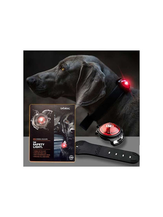 orbiloc Dog Collar Illuminated Black