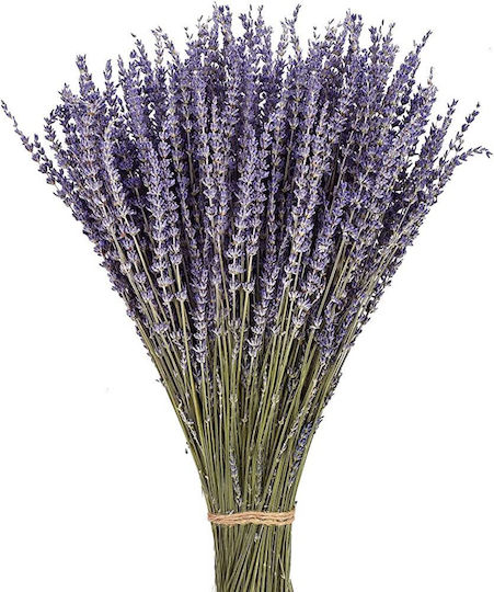 Lavender Dark-blue French Bunch 50g