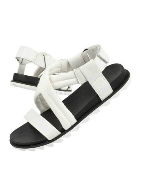 Sorel