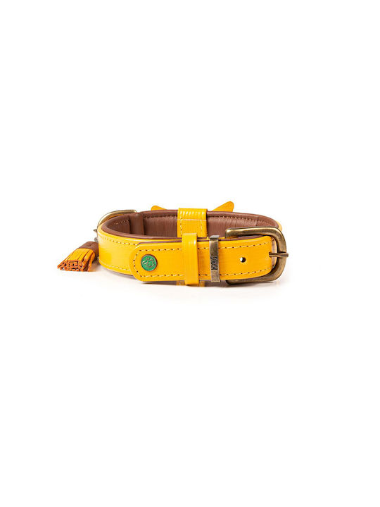 DWAM Dog Collar in Yellow color 24-039