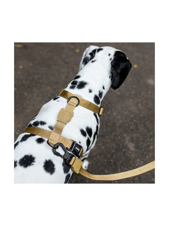 Zee-Dog Hundehalsband Sand XSklein 10mm x 20cm