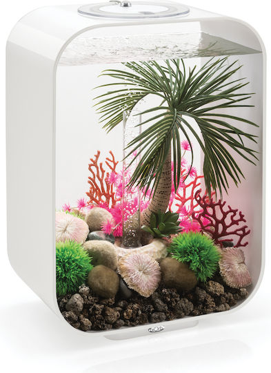Oase biOrb sea whips set Aquarium Ornament Artificial Plant 72677
