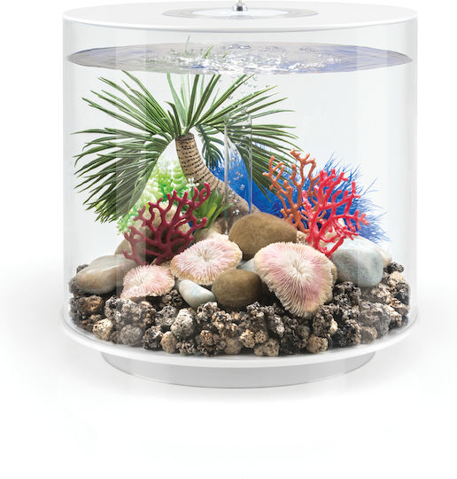 Oase biOrb sea whips set Aquarium Ornament Artificial Plant 72677