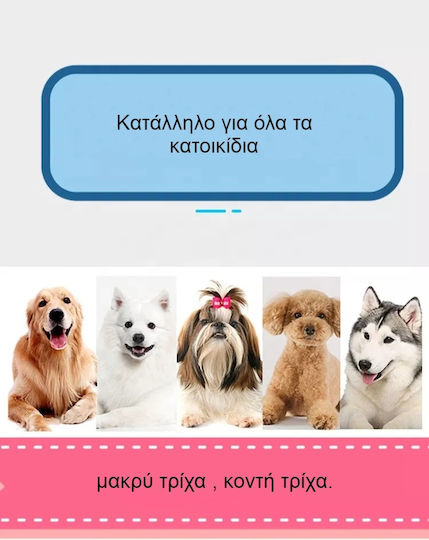 Βούρτσα Small / Medium για Μακρύτριχους Σκύλους Διπλής Όψης για Περιποίηση Τριχώματος Μπλε