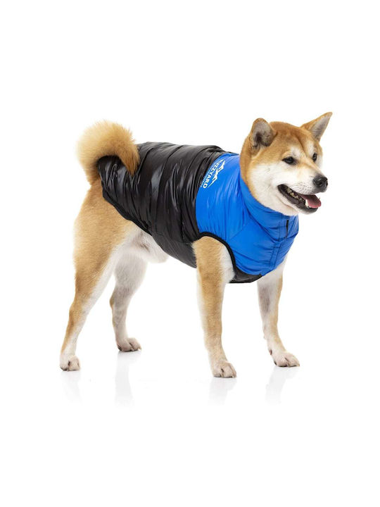 Fuzzyard East Harlem Blue Waterproof / Windproof Dog Coat Small with 36cm Back Length