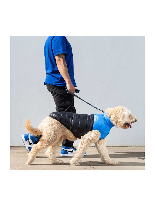 Fuzzyard East Harlem Blue Waterproof / Windproof Dog Coat Small with 36cm Back Length