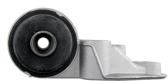 NTY Άξονες Μετάδοσης για Audi A6 Citroen C5 / C6 Skoda Superb Volkswagen Passat